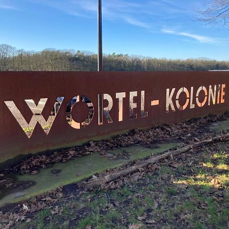 B&B De Grote Plaats Hoogstraten Zewnętrze zdjęcie