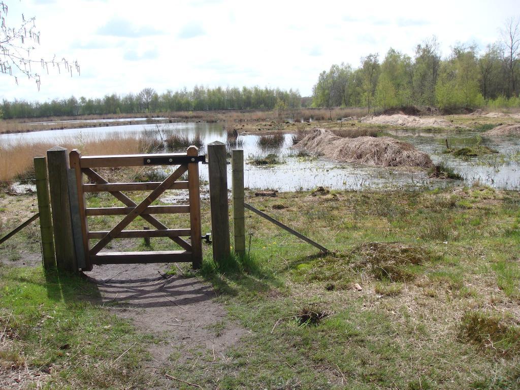 B&B De Grote Plaats Hoogstraten Zewnętrze zdjęcie