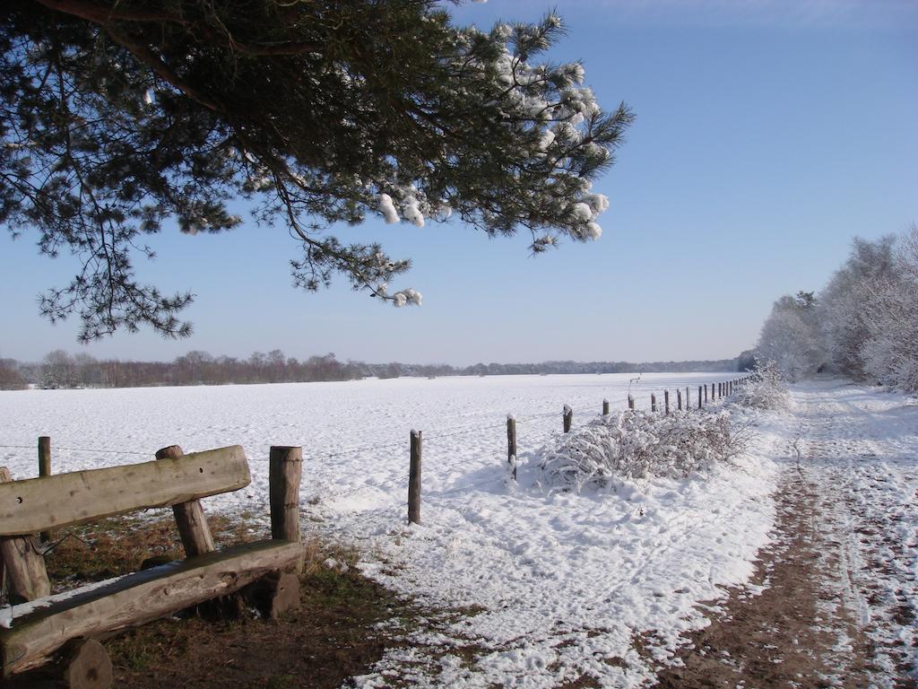 B&B De Grote Plaats Hoogstraten Zewnętrze zdjęcie