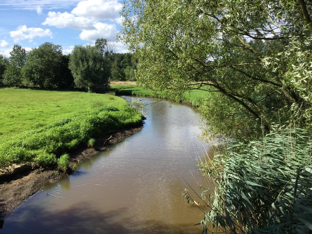 B&B De Grote Plaats Hoogstraten Zewnętrze zdjęcie