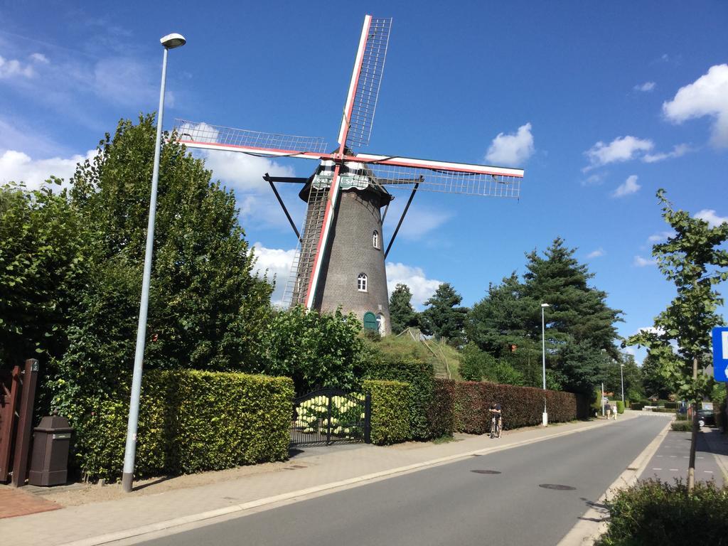 B&B De Grote Plaats Hoogstraten Zewnętrze zdjęcie