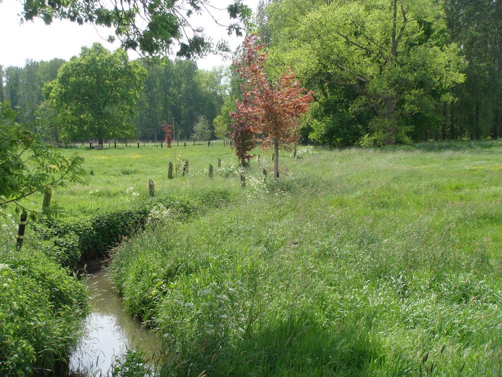 B&B De Grote Plaats Hoogstraten Zewnętrze zdjęcie