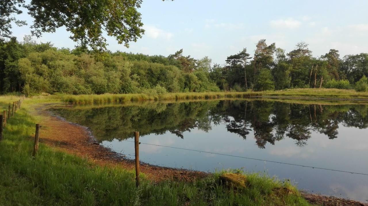 B&B De Grote Plaats Hoogstraten Zewnętrze zdjęcie